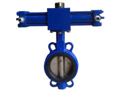 Һ������